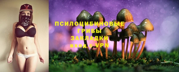 кокс Арсеньев