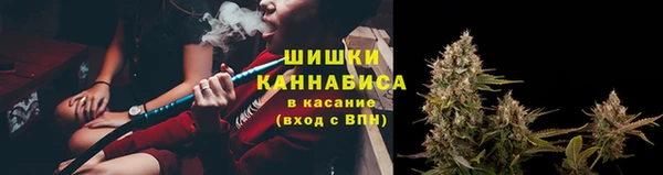кокс Арсеньев