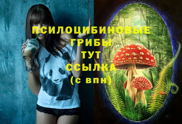 кокс Арсеньев