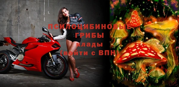 кокс Арсеньев