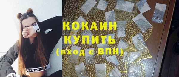 твердый Армянск
