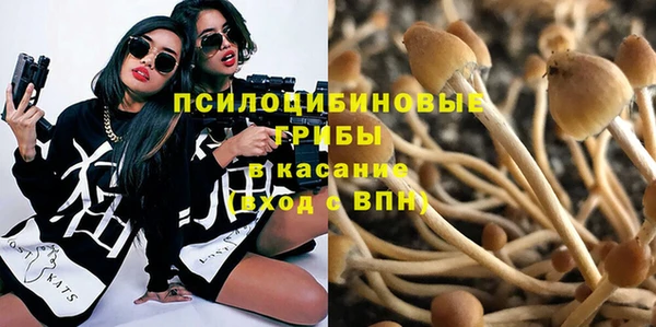 твердый Армянск