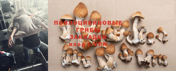 кокс Арсеньев