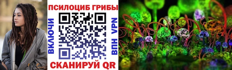 KRAKEN ТОР  где продают   Озёры  Псилоцибиновые грибы Magic Shrooms 